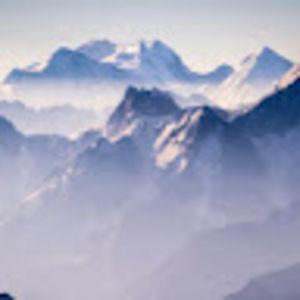 Meet your Posher, Christina chrysanthemum